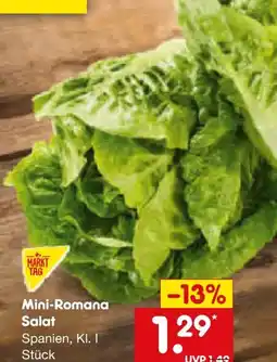 Netto Marken-Discount MarktTag Mini-Romanasalat Angebot