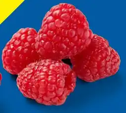 Lidl Himbeeren Angebot