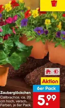 Netto Marken-Discount Zauberglöckchen Angebot