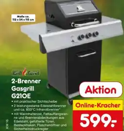 Netto Marken-Discount Grillfürst 2-Brenner Gasgrill G210E Angebot