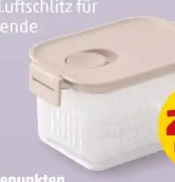 PENNY Brabantia Kühlschrank Frischhalteboxen Angebot