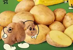 PENNY Naturgut Bio Kartoffeln Angebot