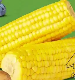 PENNY Naturgut Bio-Zuckermais Angebot