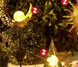 PENNY Home Ideas Seasons Solargartenstecker Angebot