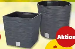 PENNY Prosperplast Blumentopf Furo Angebot