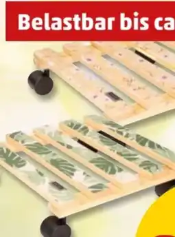 PENNY Universalroller eckig Angebot