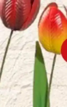 PENNY Gartenstecker Angebot