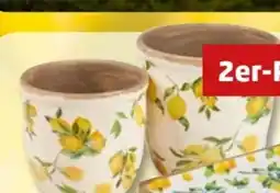 PENNY Deko-Pflanztöpfe Angebot