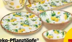 PENNY Deko aus Mangoholz Angebot