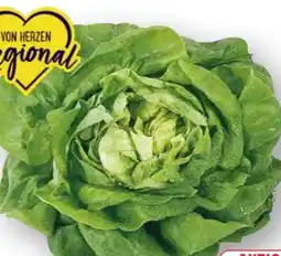 Edeka Unsere Heimat Echt & Gut Kopfsalat Angebot