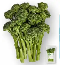 Edeka Bimi Stangenbrokkoli Angebot