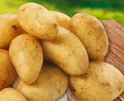 REWE Center Rewe Beste Wahl Spargel-Kartoffeln Angebot