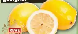 REWE Center Rewe Feine Welt Amalfi Zitronen Angebot