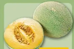 REWE Center Cantaloupemelone Angebot