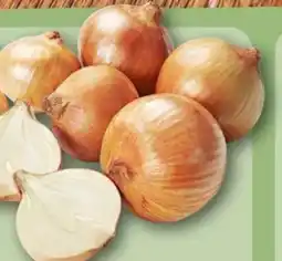 REWE Center Rewe Bio Bio-Speisezwiebeln Angebot