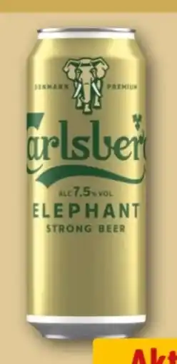 REWE Center Carlsberg Elephant Premium Beer Angebot
