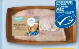 REWE Center Deutsche See Rotbarschfilet Angebot