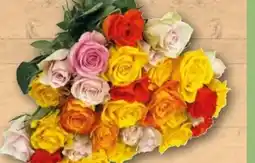 REWE Center Rosen Angebot