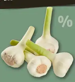 REWE Center Knoblauch Angebot