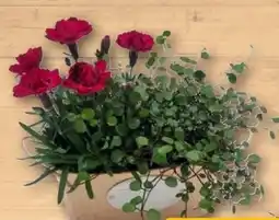 REWE Center Zinkjardiniere Florastyle Angebot