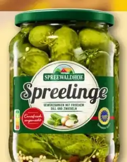 REWE Center Spreewaldhof Spreelinge Gewürzgurken Angebot