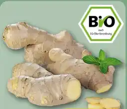 REWE Center Bio Ingwer Angebot