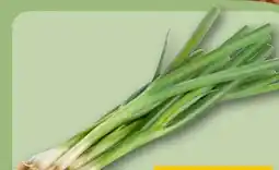 REWE Center Lauchzwiebeln Angebot