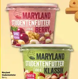 REWE Center Maryland Studentenfutter Berry Angebot