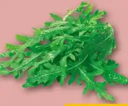 REWE Center Rucola Angebot