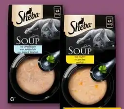 REWE Center Sheba Soup Angebot