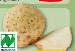 REWE Rewe Bio Knollensellerie Angebot