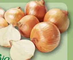 REWE Rewe Bio Bio-Speisezwiebeln Angebot