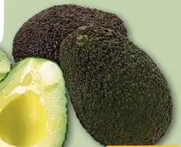 REWE Rewe Bio Avocado Hass Angebot
