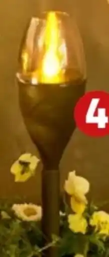 PENNY Home Ideas Seasons Solarsteckfackeln Angebot