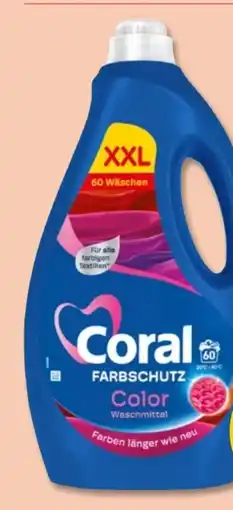 PENNY Coral Waschpulver Color Angebot