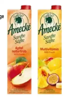 trinkgut Amecke Fruchtsaft Angebot