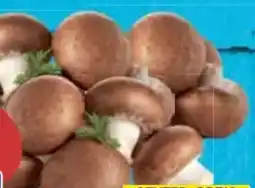 E-Center Gut & Günstig Champignons braun Angebot