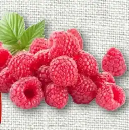 nahkauf Rewe Beste Wahl Frische Himbeeren Angebot