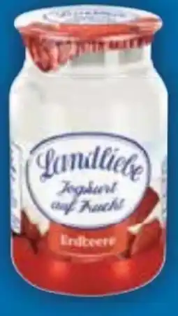 E-Center Landliebe Joghurt Original Angebot