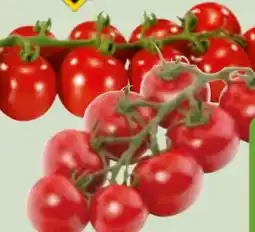 Edeka Xpress Mini-Rispentomaten Angebot