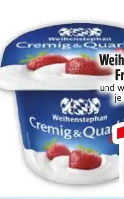 Edeka Weihenstephan Fruchtquark Angebot