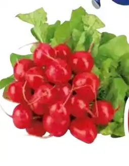 Edeka Radieschen Angebot