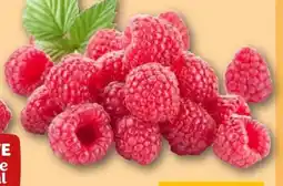 REWE Center Rewe Beste Wahl Frische Himbeeren Angebot
