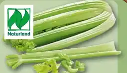 REWE Center Rewe Bio Staudensellerie Angebot