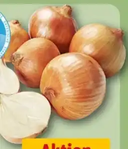 REWE Center Bio Speisezwiebeln Angebot