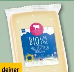REWE Center Hof-Milch Allgäuer Bio Bergkäse Angebot
