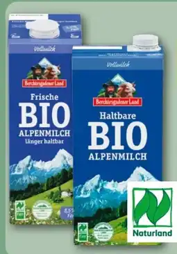 REWE Center Berchtesgadener Land Frische Bio-Alpenmilch Angebot