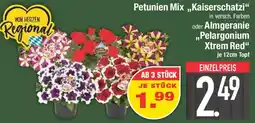 E-Center Petunien Mix ,,Kaiserschatzi" oder Almgeranie „Pelargonium Xtrem Red" Angebot