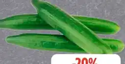 Edeka Frischemarkt Gut & Günstig Salatgurken Angebot