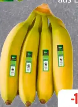 Edeka Frischemarkt Edeka Bio Bio-Bananen Angebot